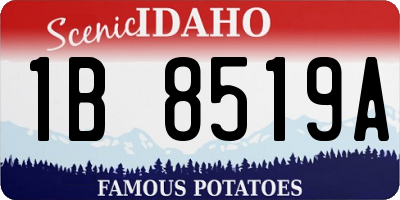 ID license plate 1B8519A