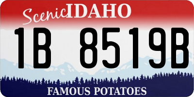 ID license plate 1B8519B