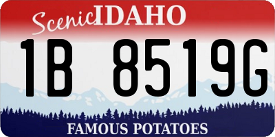 ID license plate 1B8519G