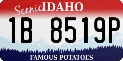 ID license plate 1B8519P