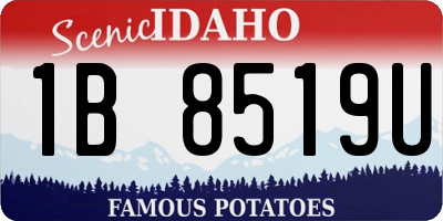 ID license plate 1B8519U