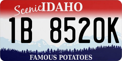 ID license plate 1B8520K
