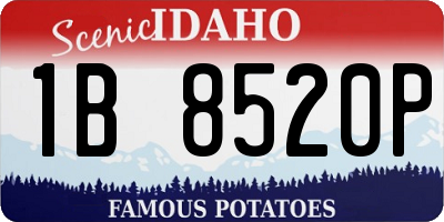 ID license plate 1B8520P