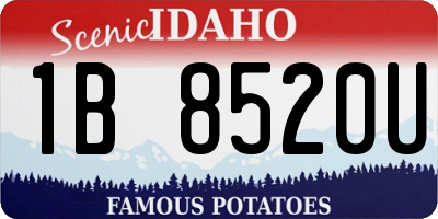 ID license plate 1B8520U
