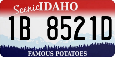 ID license plate 1B8521D