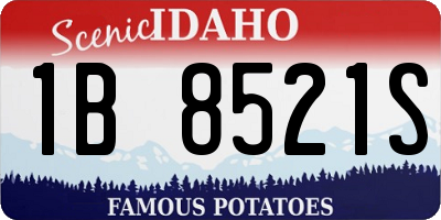 ID license plate 1B8521S