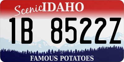 ID license plate 1B8522Z