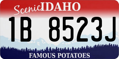 ID license plate 1B8523J