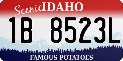 ID license plate 1B8523L