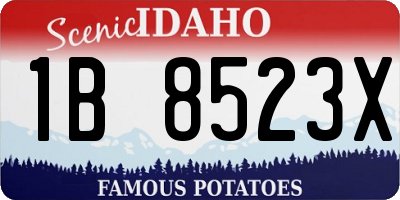 ID license plate 1B8523X