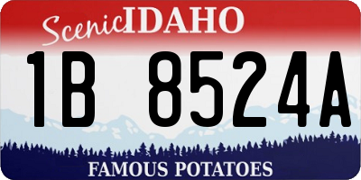 ID license plate 1B8524A