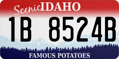 ID license plate 1B8524B