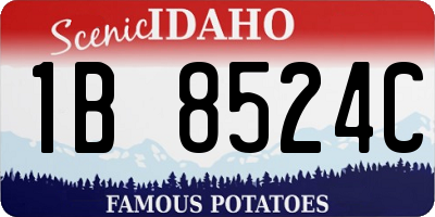 ID license plate 1B8524C