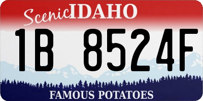 ID license plate 1B8524F