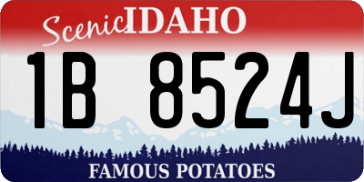 ID license plate 1B8524J