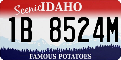 ID license plate 1B8524M