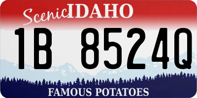ID license plate 1B8524Q
