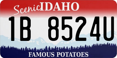 ID license plate 1B8524U