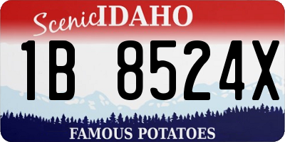 ID license plate 1B8524X