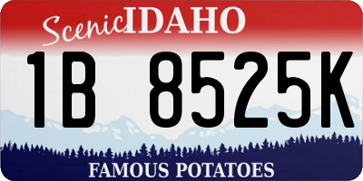 ID license plate 1B8525K