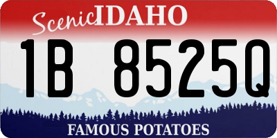 ID license plate 1B8525Q