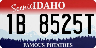 ID license plate 1B8525T