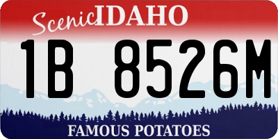 ID license plate 1B8526M