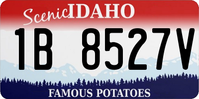 ID license plate 1B8527V