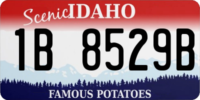 ID license plate 1B8529B