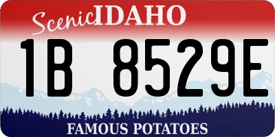 ID license plate 1B8529E