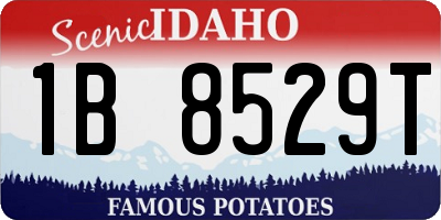 ID license plate 1B8529T