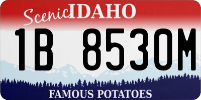 ID license plate 1B8530M