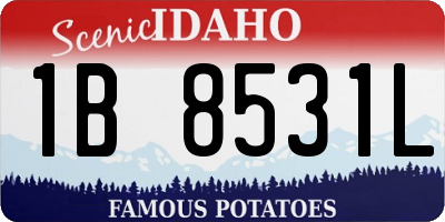 ID license plate 1B8531L