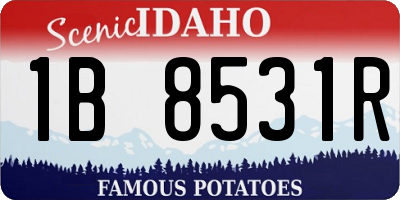 ID license plate 1B8531R