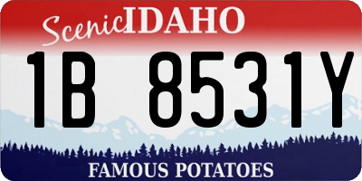 ID license plate 1B8531Y