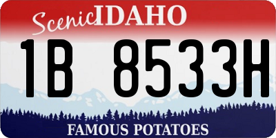 ID license plate 1B8533H