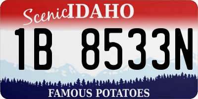 ID license plate 1B8533N