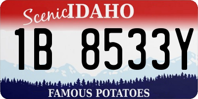 ID license plate 1B8533Y