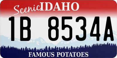 ID license plate 1B8534A