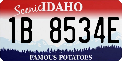 ID license plate 1B8534E