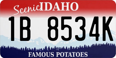 ID license plate 1B8534K