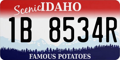 ID license plate 1B8534R