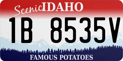 ID license plate 1B8535V