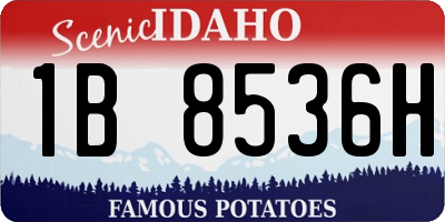 ID license plate 1B8536H
