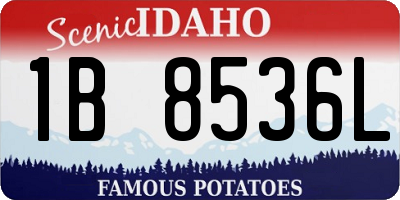 ID license plate 1B8536L