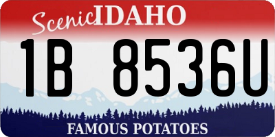 ID license plate 1B8536U