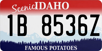 ID license plate 1B8536Z