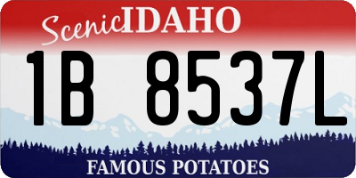 ID license plate 1B8537L