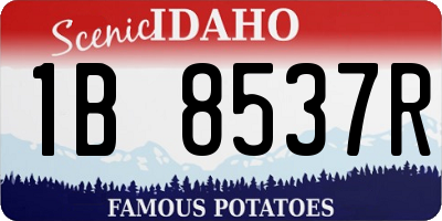 ID license plate 1B8537R