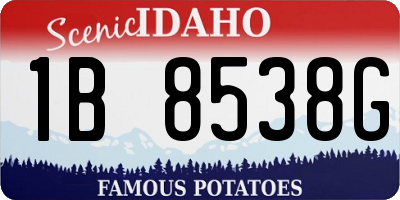 ID license plate 1B8538G